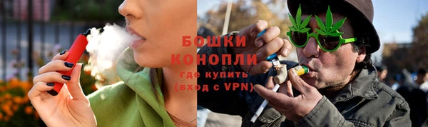 прущие грибы Магас