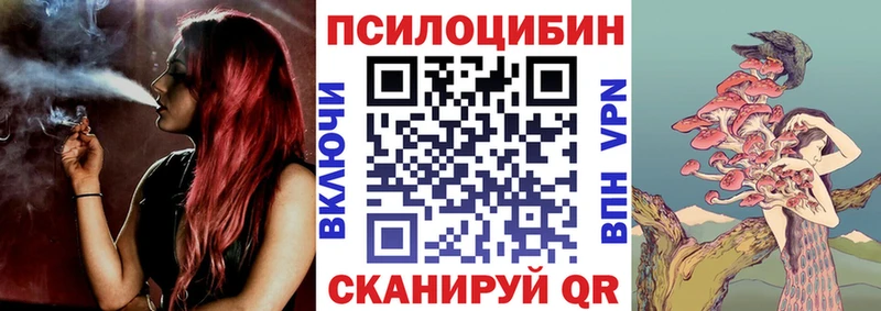 купить   Пушкино  Псилоцибиновые грибы прущие грибы 